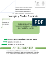 Ecologia y Medio Ambientev
