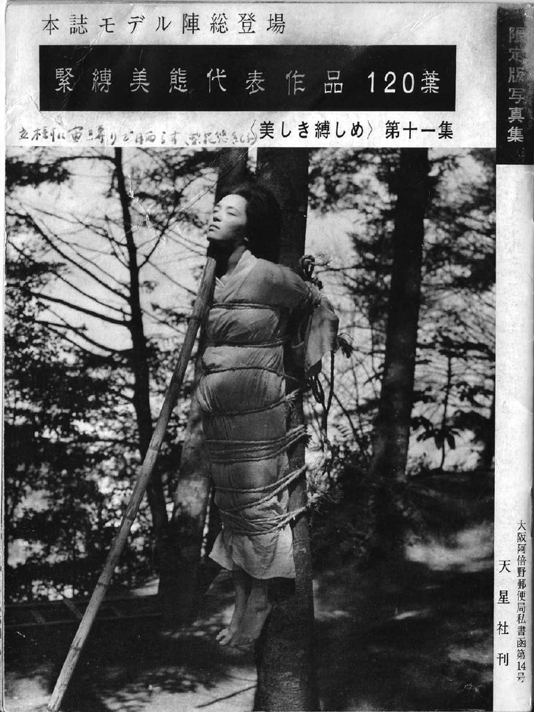 樹 緊縛   