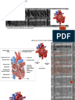 CARDIVASKULER