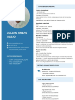 Mi CV