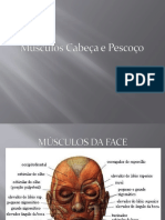 Músculos faciais e da cabeça: origens, inserções e ações