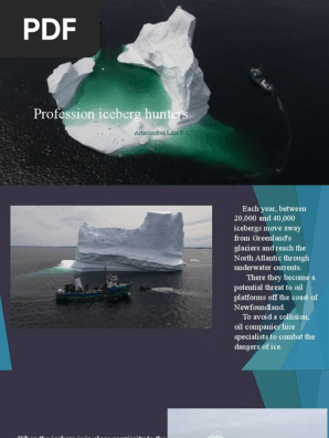 Profession iceberg hunters