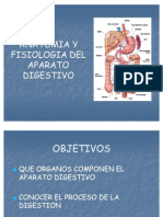 Anatomia y Fisiologia Del Aparato Digestivo