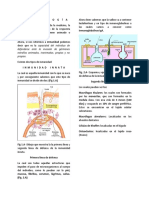 Manual de Inmunología