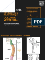 SESIÓN 14 - Columna Vertebral