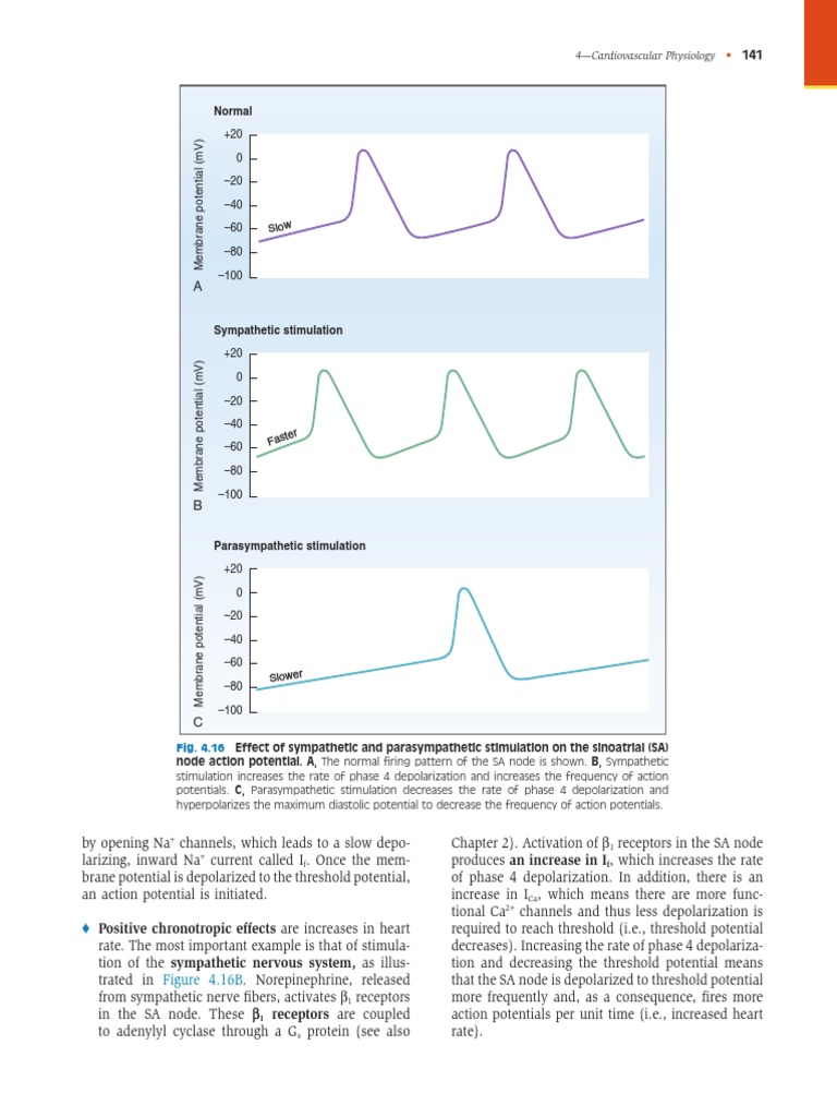 Physiology visual data 6