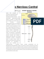 Sistema Nervioso Central