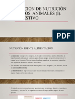 Nutrición en Los Animales (I) - Digestion