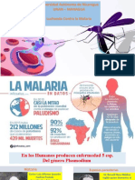 Malaria Fisiología 