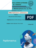 papilomavirus y poliomavitus
