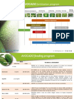 Avocado FertilizationPlan de fumure Avocatier-1