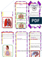 Triptico Aparato Respiratorio
