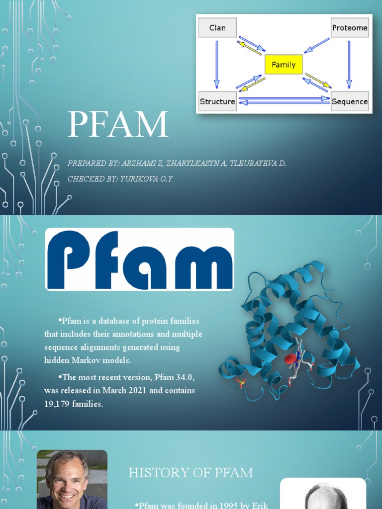 PFAM PDF Macromolecules Systems Biology