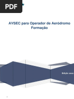 Resumão Básico em AVSEC | PDF | Aeroporto | Aviação