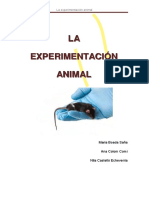 La experimentación animal: Un análisis de sus aspectos clave