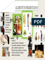 Alimentos Fermentados