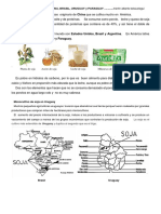 Producción y Monocultivo de Soja en Argentina, Uruguay, Brasil y Paraguay