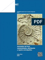D034-Boletín Ammonites Del Perú