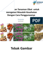 Pemanfaatan Tananamn Obat DKK KEBUMEN