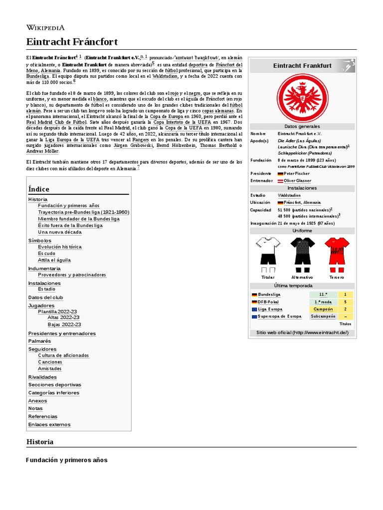 Fanion Eintracht Francfort Vintage Années 90 – Collector Bundesliga
