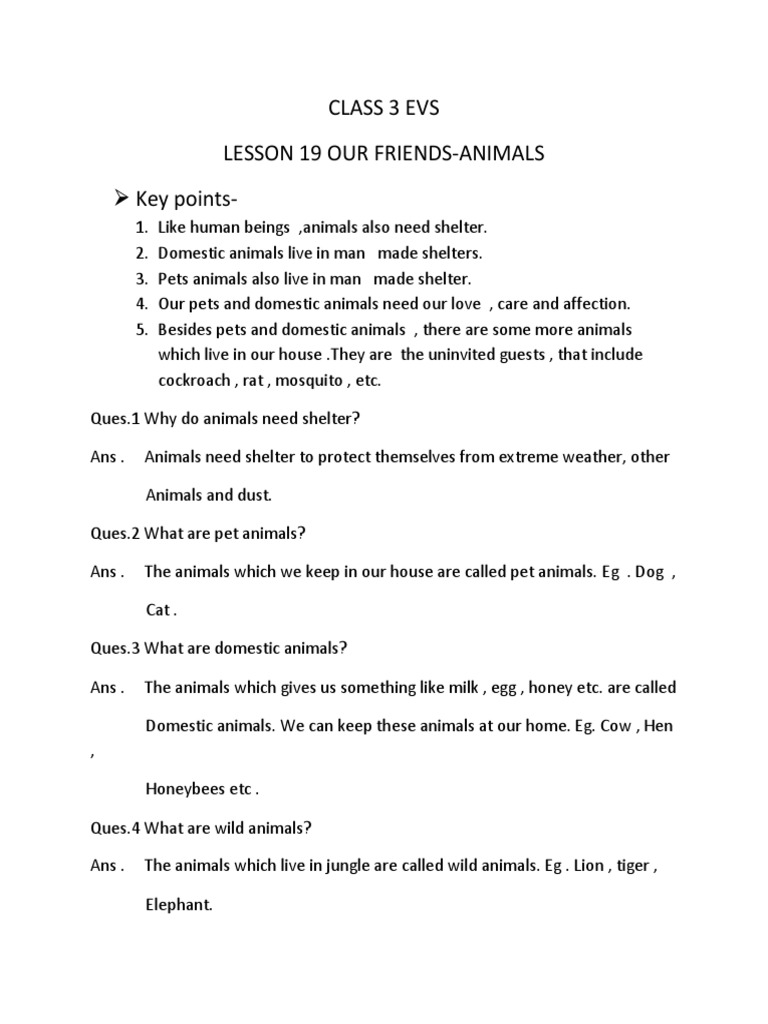 Class 3 Evs - Our Friends Animals | PDF | Pet | Foods
