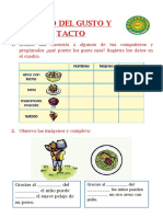 P1 CYT 25-05 - Sentido-del-Gusto-y-Tacto