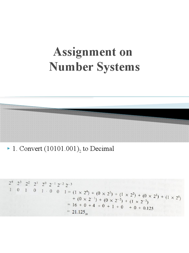 Assignment - Number Systems | PDF