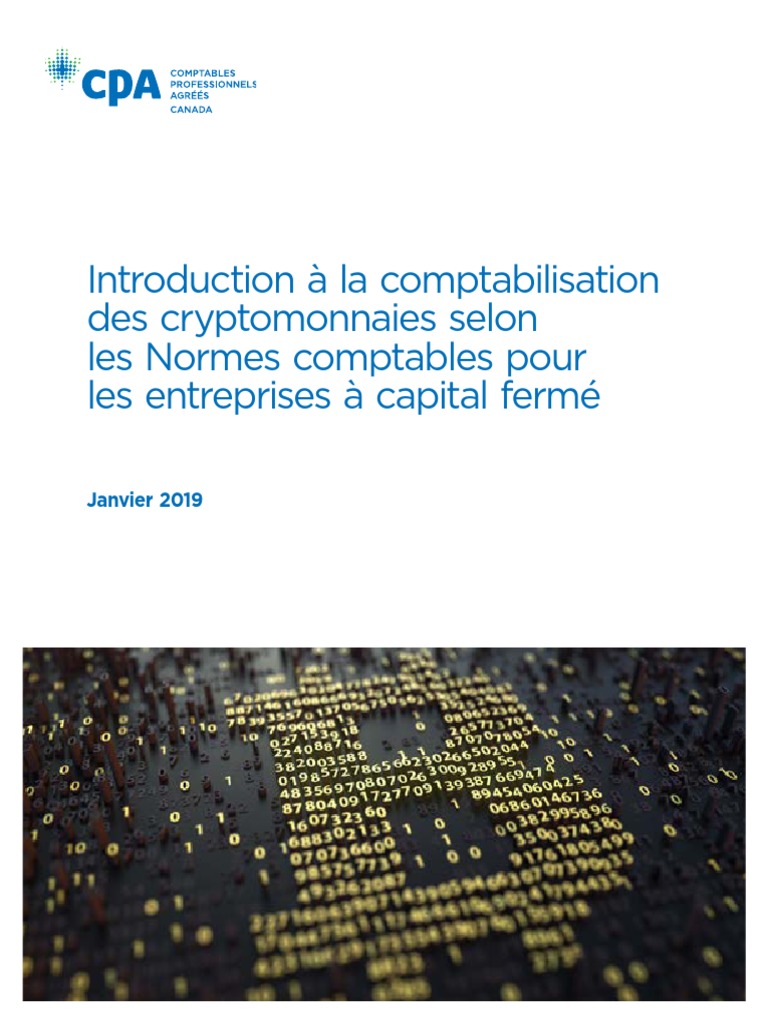RG Comptabilisation Cryptomonnaies NCECF Jan 2019 | PDF | Comptabilité |  Crytomonnaies