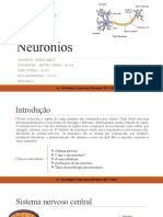 Neurónios: estrutura e função