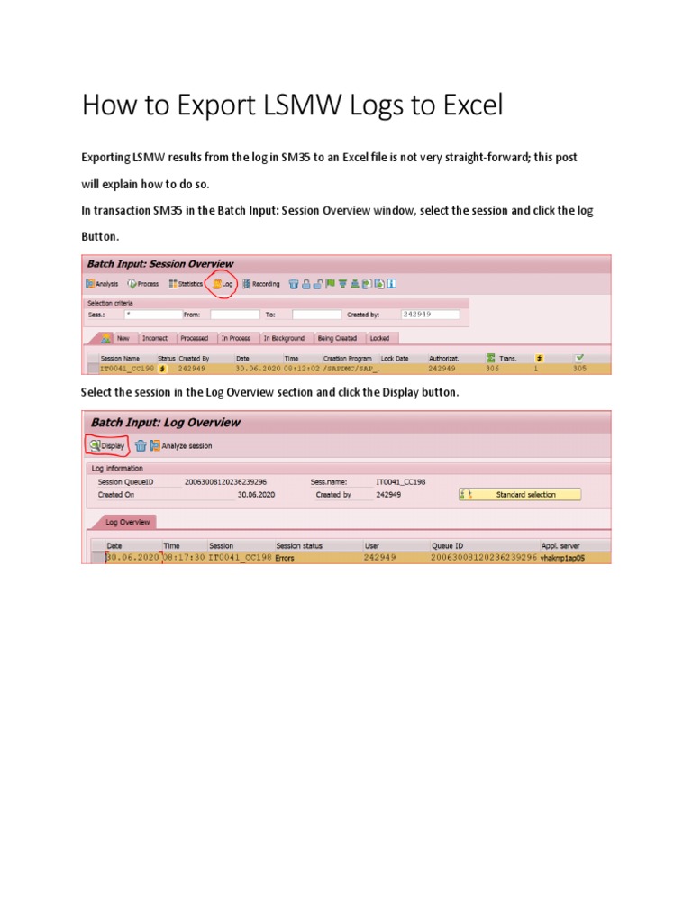 Export LSMW Logs to Excel Guide | PDF | Computers