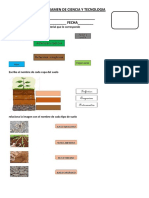 EXAMEN DE CIENCIA Y TECNOLOGIA Set