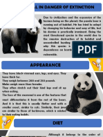 Pandas in Peril