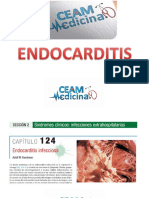23 Endocarditis
