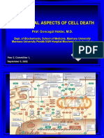 Biochemical Aspects of Cell Death