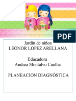 Plan Diagnostico Andrea