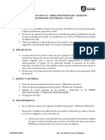 Taller N°2 - Obras Preliminares, Trabajos Provisionales, Seguridad y Salud