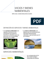 Servicios y Bienes Ambientales