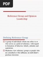 Reference Group and Opinion Leadership