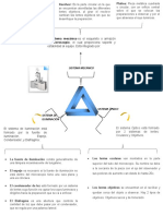 Guía completa de los componentes clave del microscopio óptico