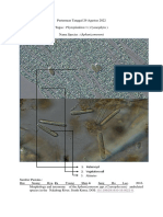 Surya Adi Putra Pratama - Biologi Laut 1 FIX1