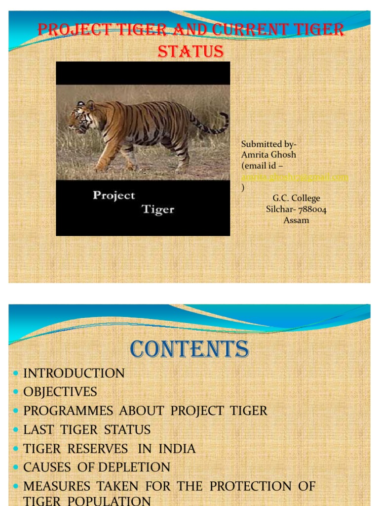 essay on what is project tiger