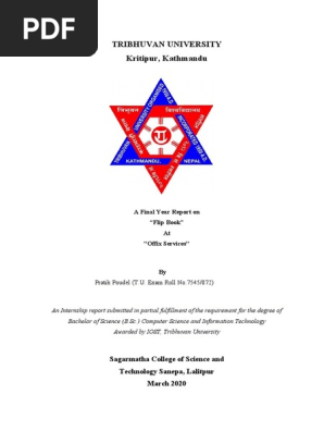Final-Internship-Report