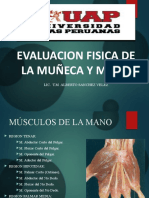 4ta Clase de Procedimientos II . Eval. Fisica de La Muñeca y Mano