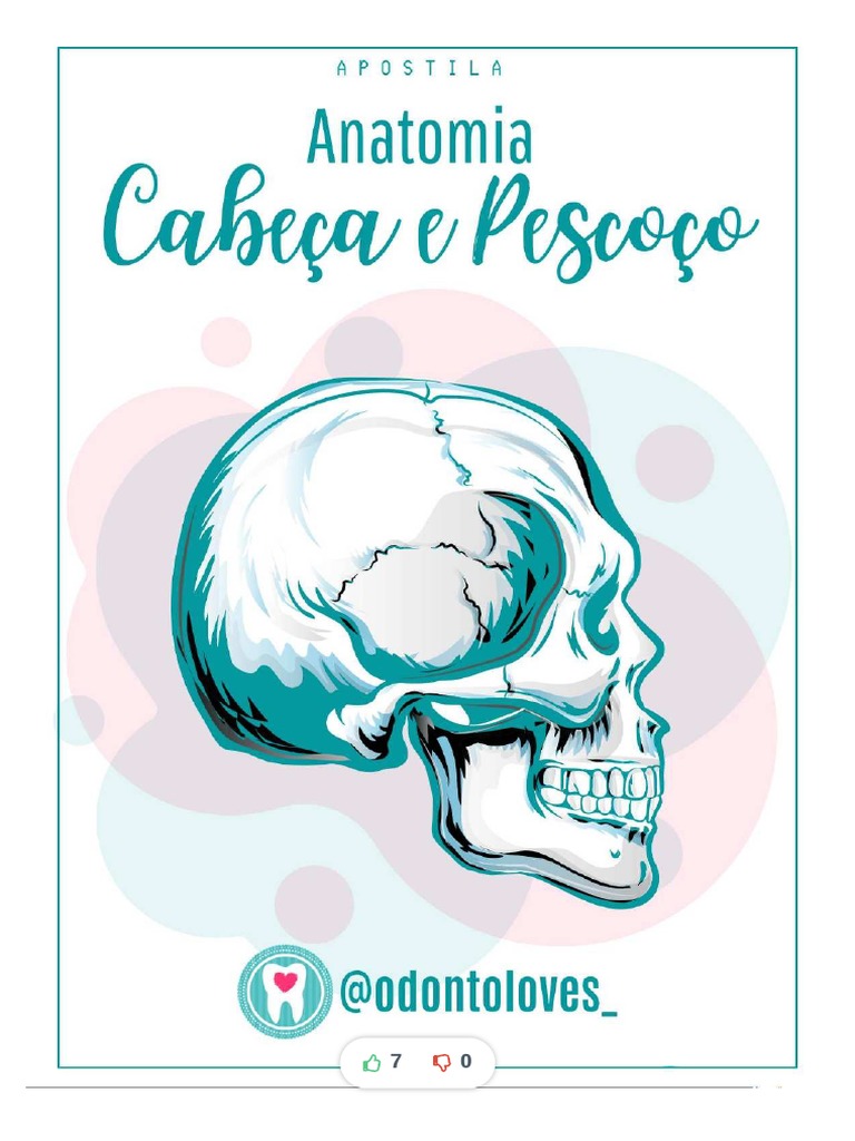 Apostila Anatomia Cabea e Pescoço | PDF | Crânio | Anatomia humana