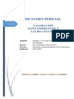 1 Informe Pericial Final 2015-00677