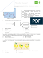 Taller Enzimas Bioprocesos 1