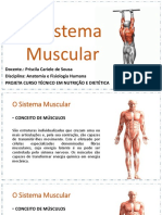 Aula - Sistema Muscular