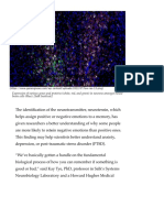 Neurotensin Helps Associate Memories With Good or Bad Emotions