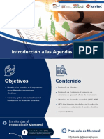 Introducción A Las Agendas Globales