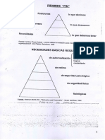 Texto 10. Pirámide Pin
